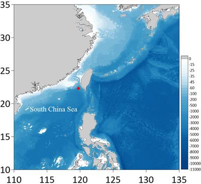 Two New Species of Cyphocaris (Amphipoda, Amphilochidea, Cyphocarididae) From Water Columns Above a Methane Seep in the South China Sea